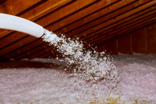 Best Specialized Insulation Services in Hardwick, GA