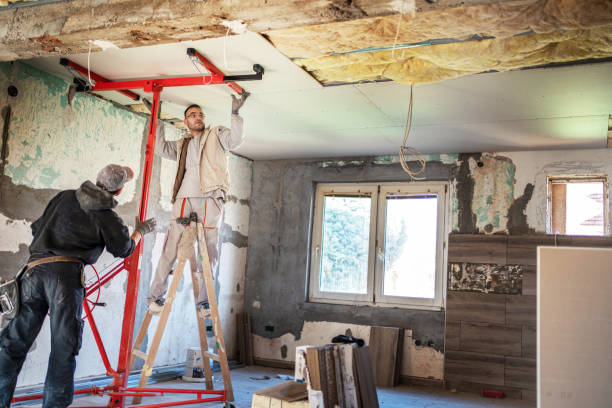 Best Geographic-Specific Insulation Services in Hardwick, GA